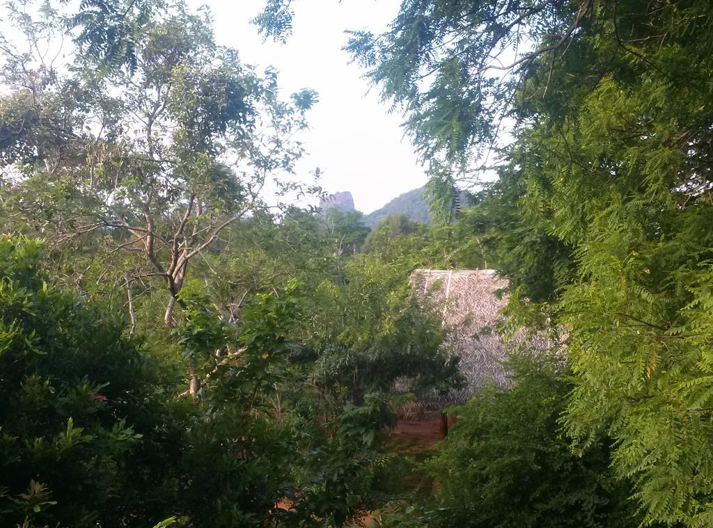 Kuwera Eco Lodge Sigiriya Exterior photo