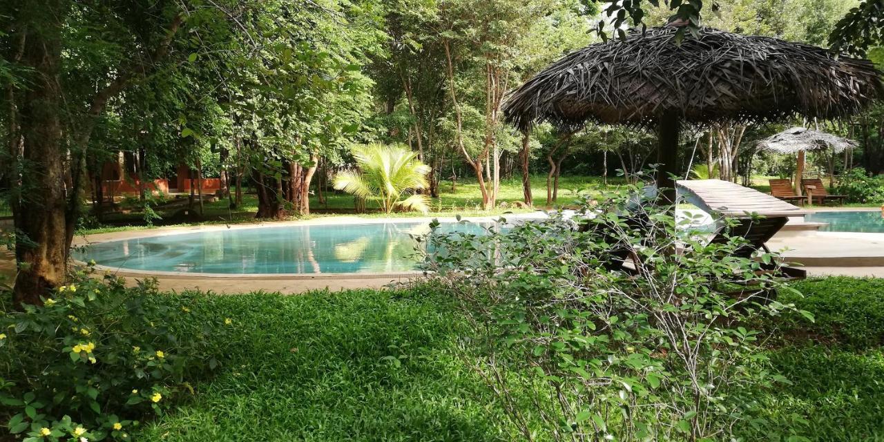 Kuwera Eco Lodge Sigiriya Exterior photo